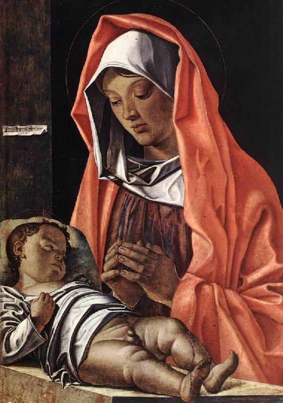 BONSIGNORI, Francesco Virgin with Child fh Spain oil painting art